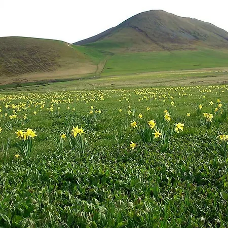 アパート Le Castel Medicis ル・モンドール