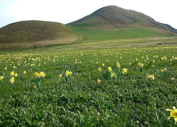 Apartamento Résidence Le Castel Médicis Mont-Dore